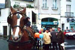 animation Touraine primeur 